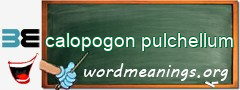 WordMeaning blackboard for calopogon pulchellum